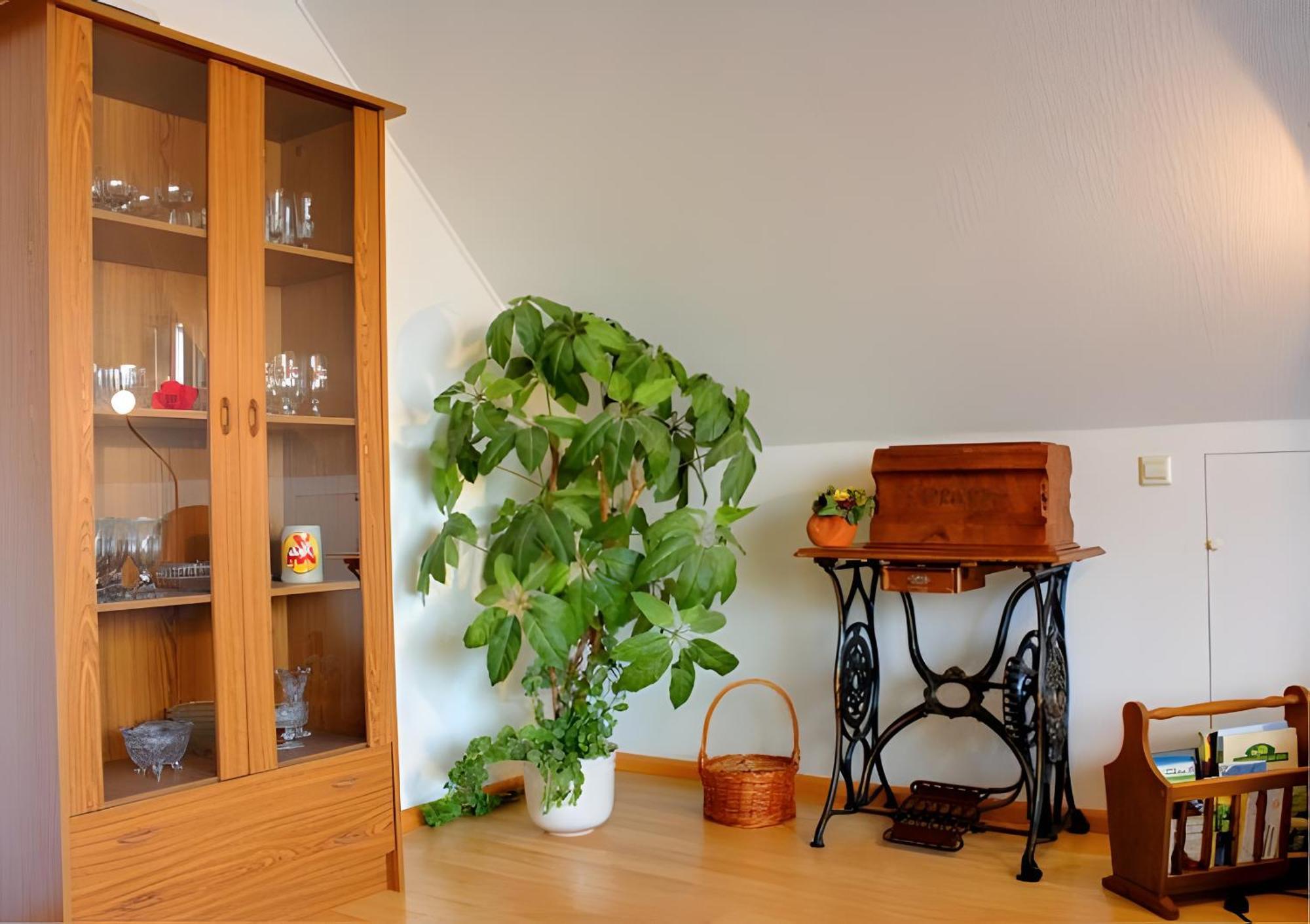 Appartamento Haus Wehrle Breisach Esterno foto